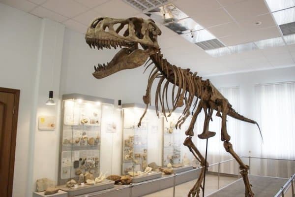 Научный геологический музей им. А.А.Чернова