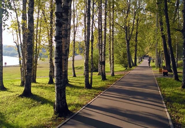 Парк им С.М. Кирова